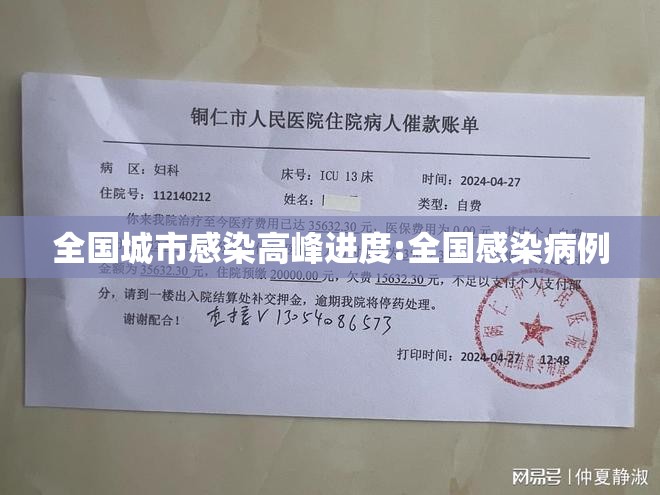 全国城市感染高峰进度:全国感染病例 全国城市感染高峰进度:全国感染病例
