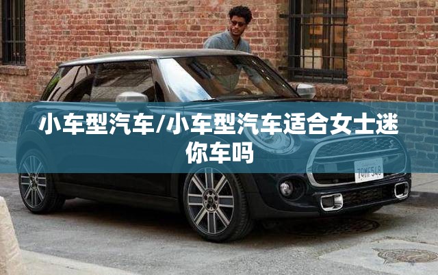 小车型汽车/小车型汽车适合女士迷你车吗