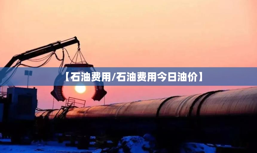 【石油费用/石油费用今日油价】