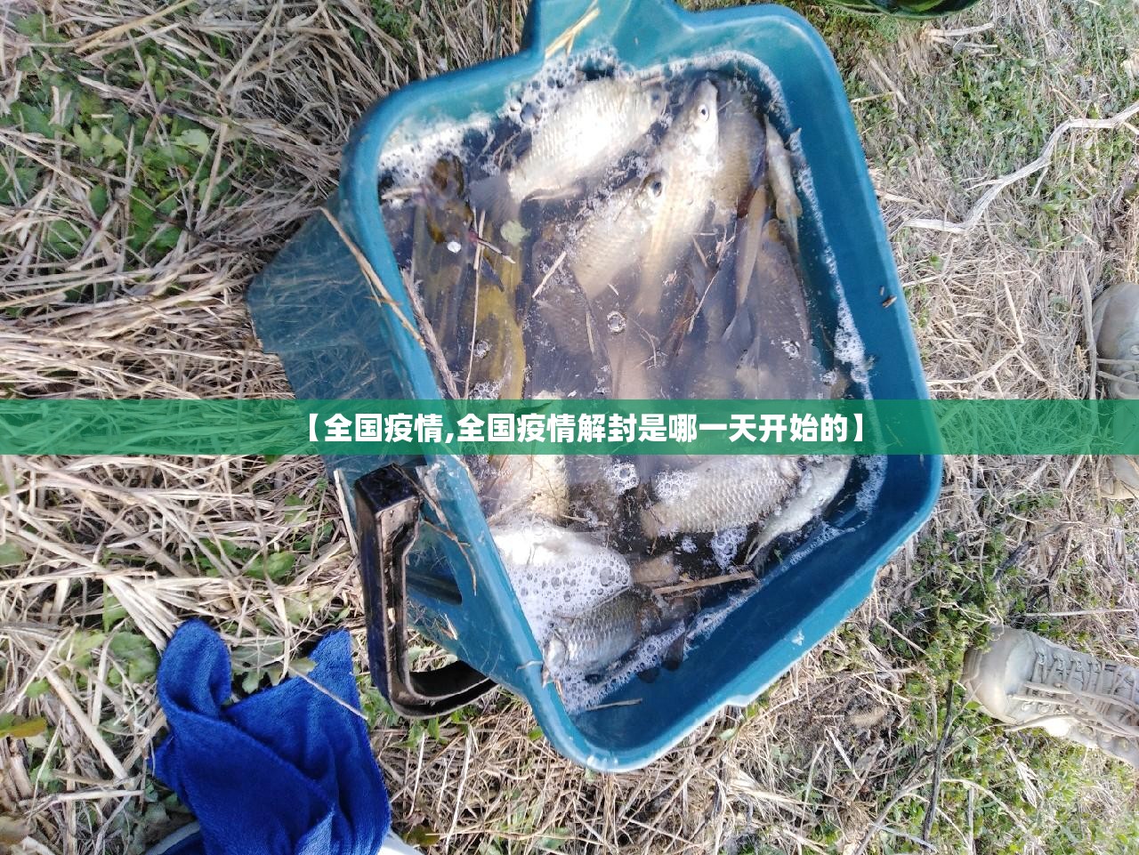 【全国疫情,全国疫情解封是哪一天开始的】
