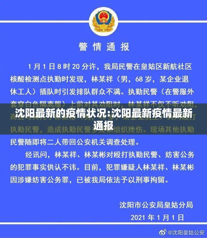 沈阳最新的疫情状况:沈阳最新疫情最新通报