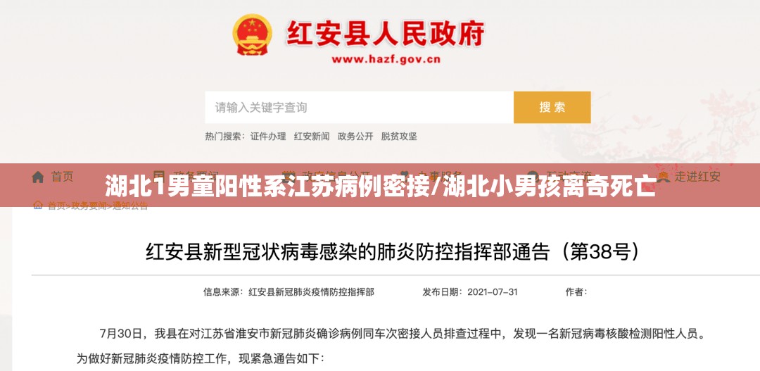 湖北1男童阳性系江苏病例密接/湖北小男孩离奇死亡