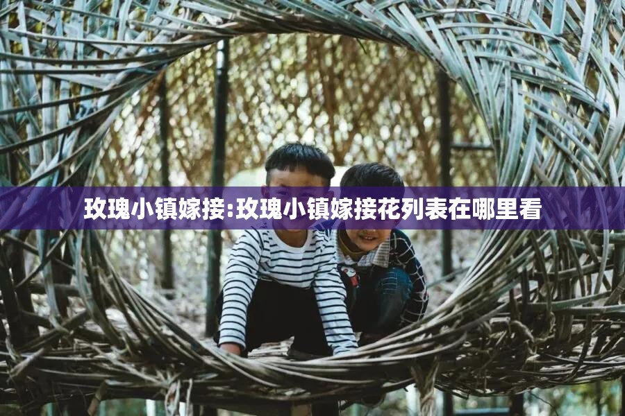 玫瑰小镇嫁接:玫瑰小镇嫁接花列表在哪里看