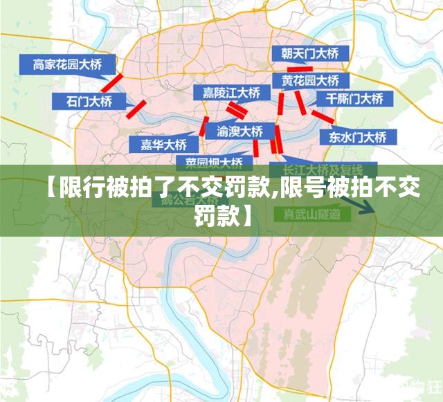 【限行被拍了不交罚款,限号被拍不交罚款】