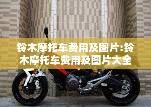 铃木摩托车费用及图片:铃木摩托车费用及图片大全