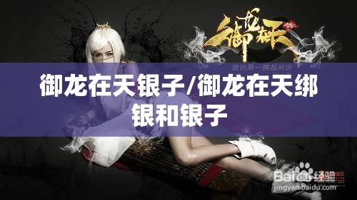 御龙在天银子/御龙在天绑银和银子