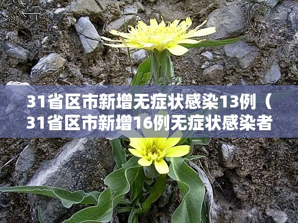 31省区市新增无症状感染13例（31省区市新增16例无症状感染者）