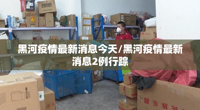 黑河疫情最新消息今天/黑河疫情最新消息2例行踪