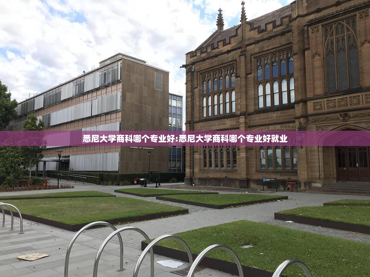 悉尼大学商科哪个专业好:悉尼大学商科哪个专业好就业