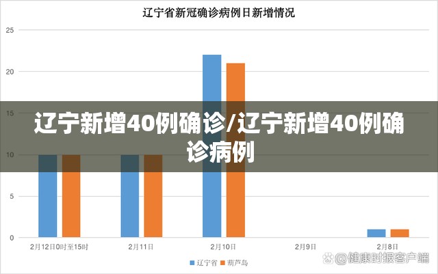 辽宁新增40例确诊/辽宁新增40例确诊病例