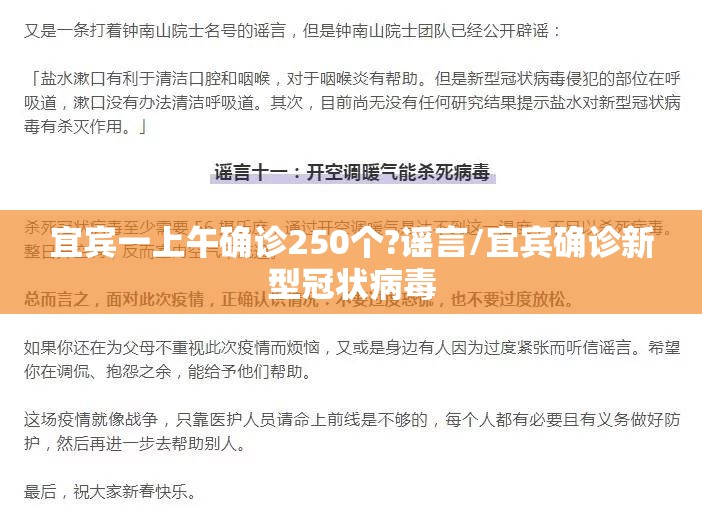 宜宾一上午确诊250个?谣言/宜宾确诊新型冠状病毒