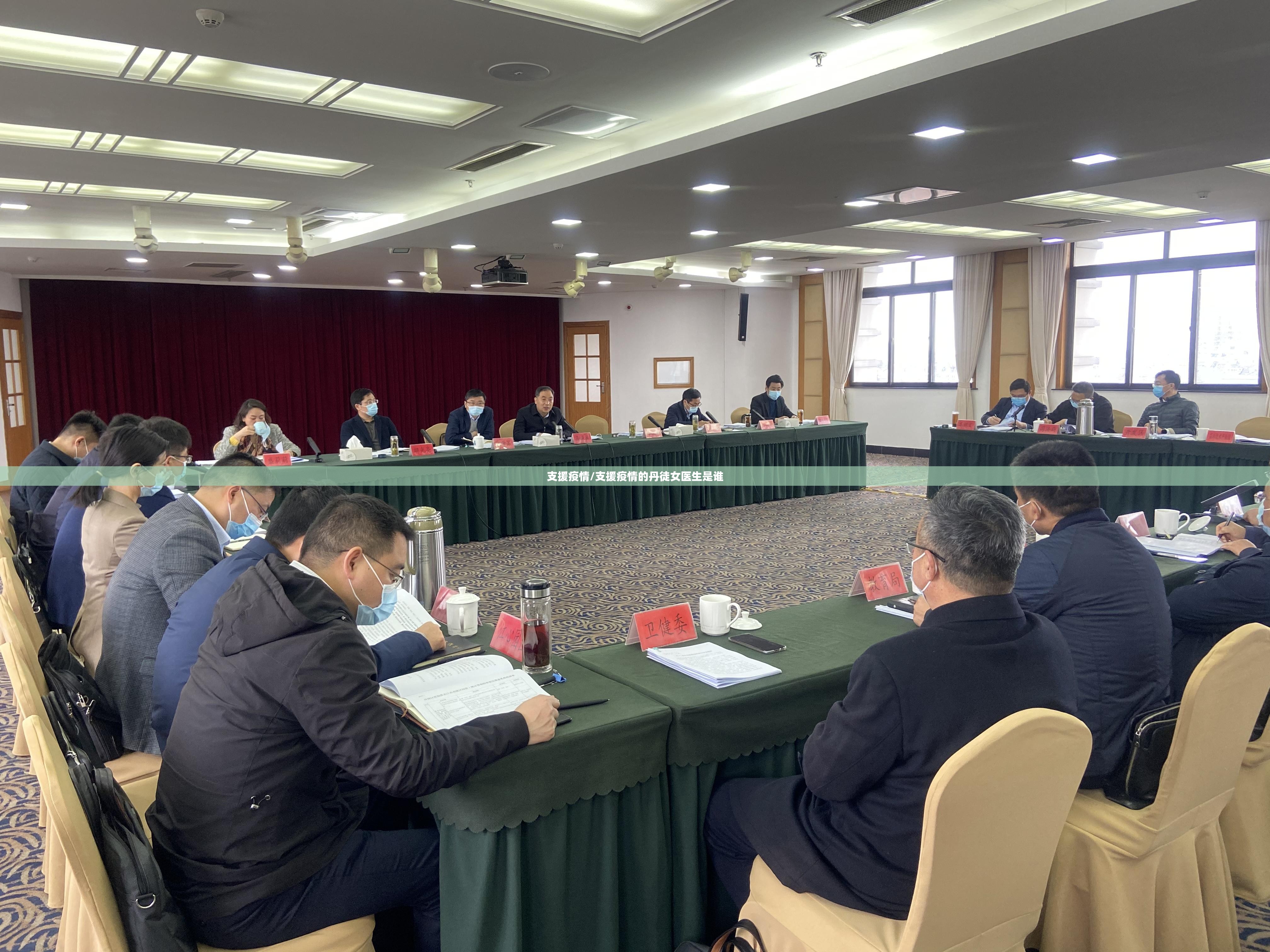 支援疫情/支援疫情的丹徒女医生是谁