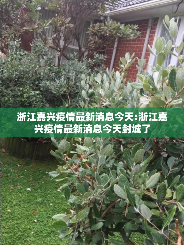 浙江嘉兴疫情最新消息今天:浙江嘉兴疫情最新消息今天封城了 浙江嘉兴疫情最新消息今天:浙江嘉兴疫情最新消息今天封城了