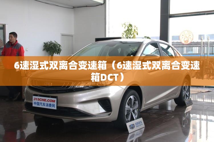 6速湿式双离合变速箱（6速湿式双离合变速箱DCT）