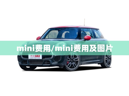 mini费用/mini费用及图片