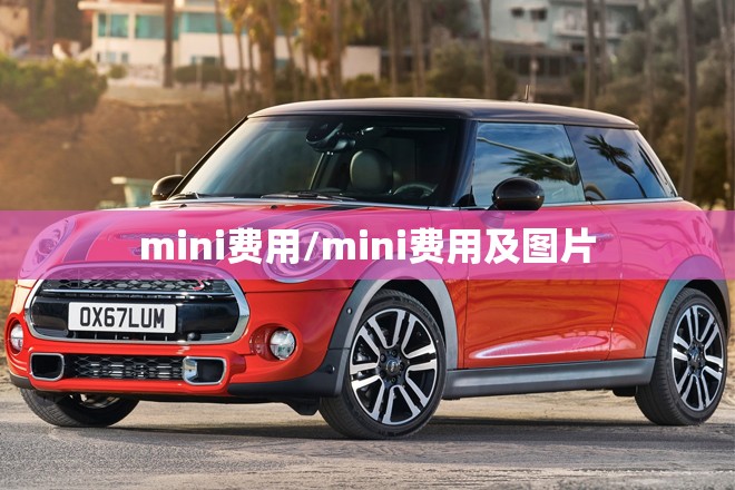 mini费用/mini费用及图片
