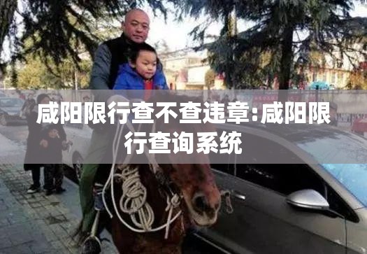 咸阳限行查不查违章:咸阳限行查询系统