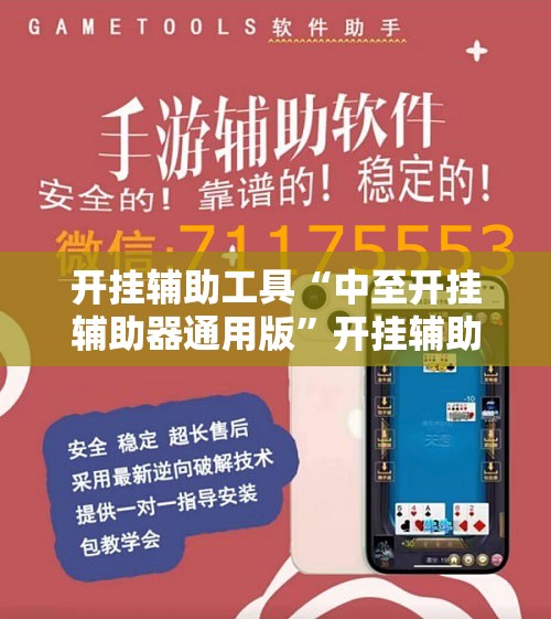 开挂辅助工具“中至开挂辅助器通用版”开挂辅助脚本+详细开挂安装教程