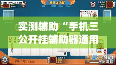 实测辅助“手机三公开挂辅助器通用版”开挂(透视)辅助教程