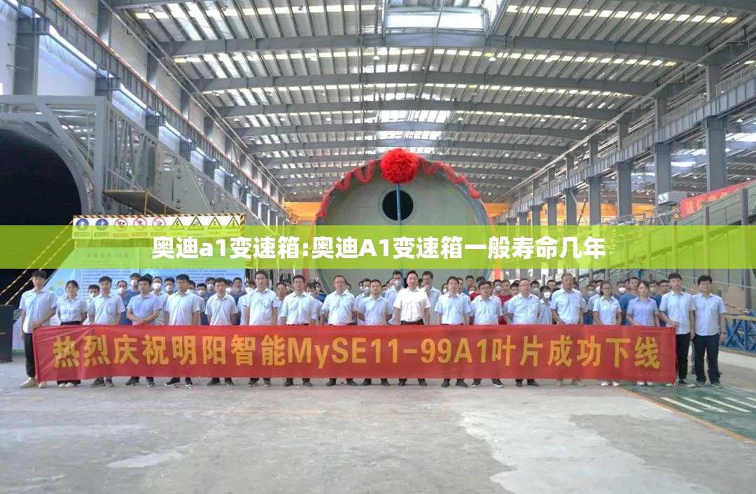奥迪a1变速箱:奥迪A1变速箱一般寿命几年