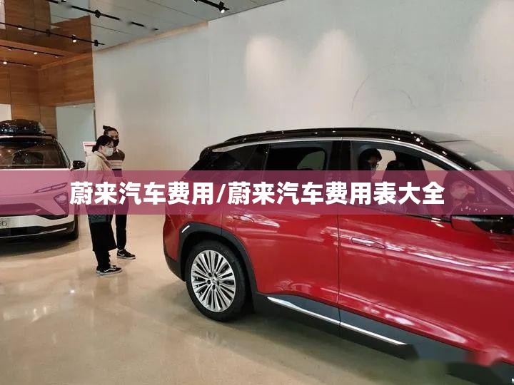 蔚来汽车费用/蔚来汽车费用表大全