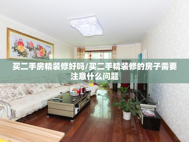 买二手房精装修好吗/买二手精装修的房子需要注意什么问题