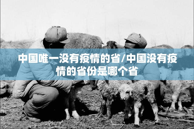 中国唯一没有疫情的省/中国没有疫情的省份是哪个省