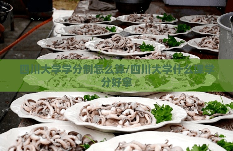 四川大学学分制怎么算/四川大学什么课学分好拿