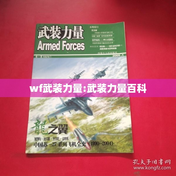 wf武装力量:武装力量百科