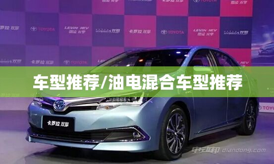 车型推荐/油电混合车型推荐