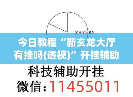 今日教程“新玄龙大厅有挂吗(透视)”开挂辅助脚本+详细开挂安装教程