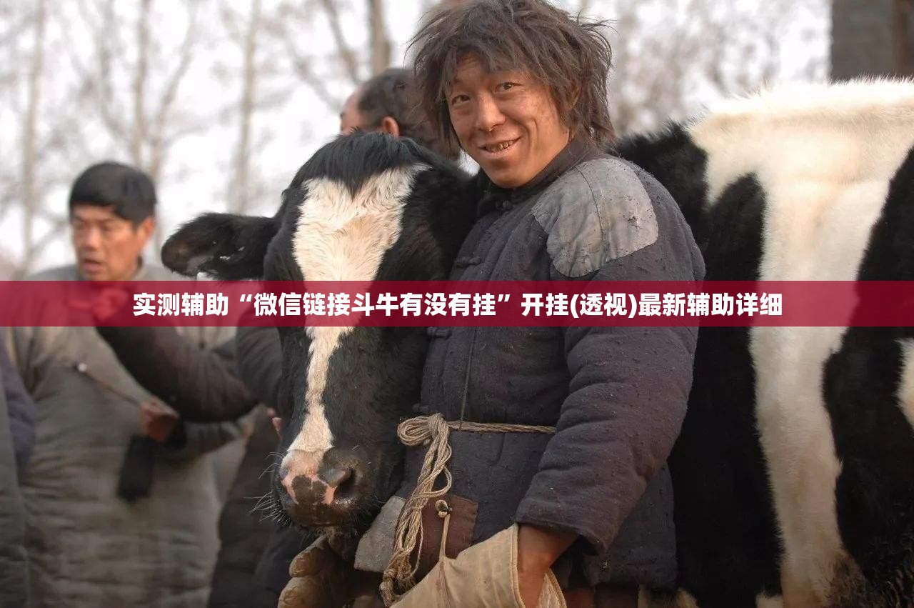 实测辅助“微信链接斗牛有没有挂”开挂(透视)最新辅助详细
