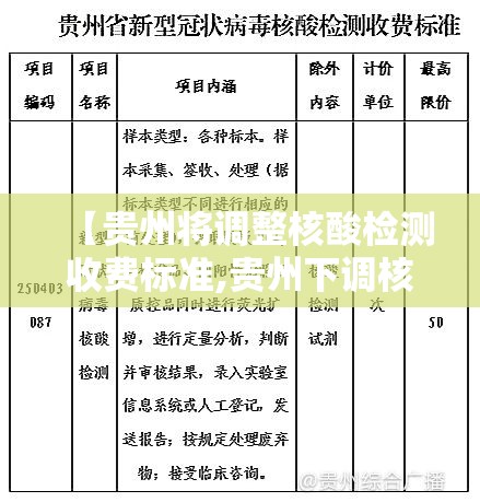 【贵州将调整核酸检测收费标准,贵州下调核酸检测收费标准】