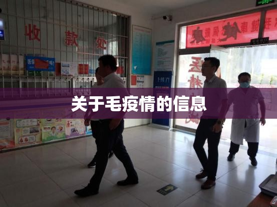 关于毛疫情的信息