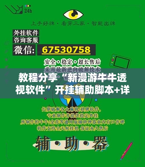 教程分享“新漫游牛牛透视软件”开挂辅助脚本+详细开挂安装教程