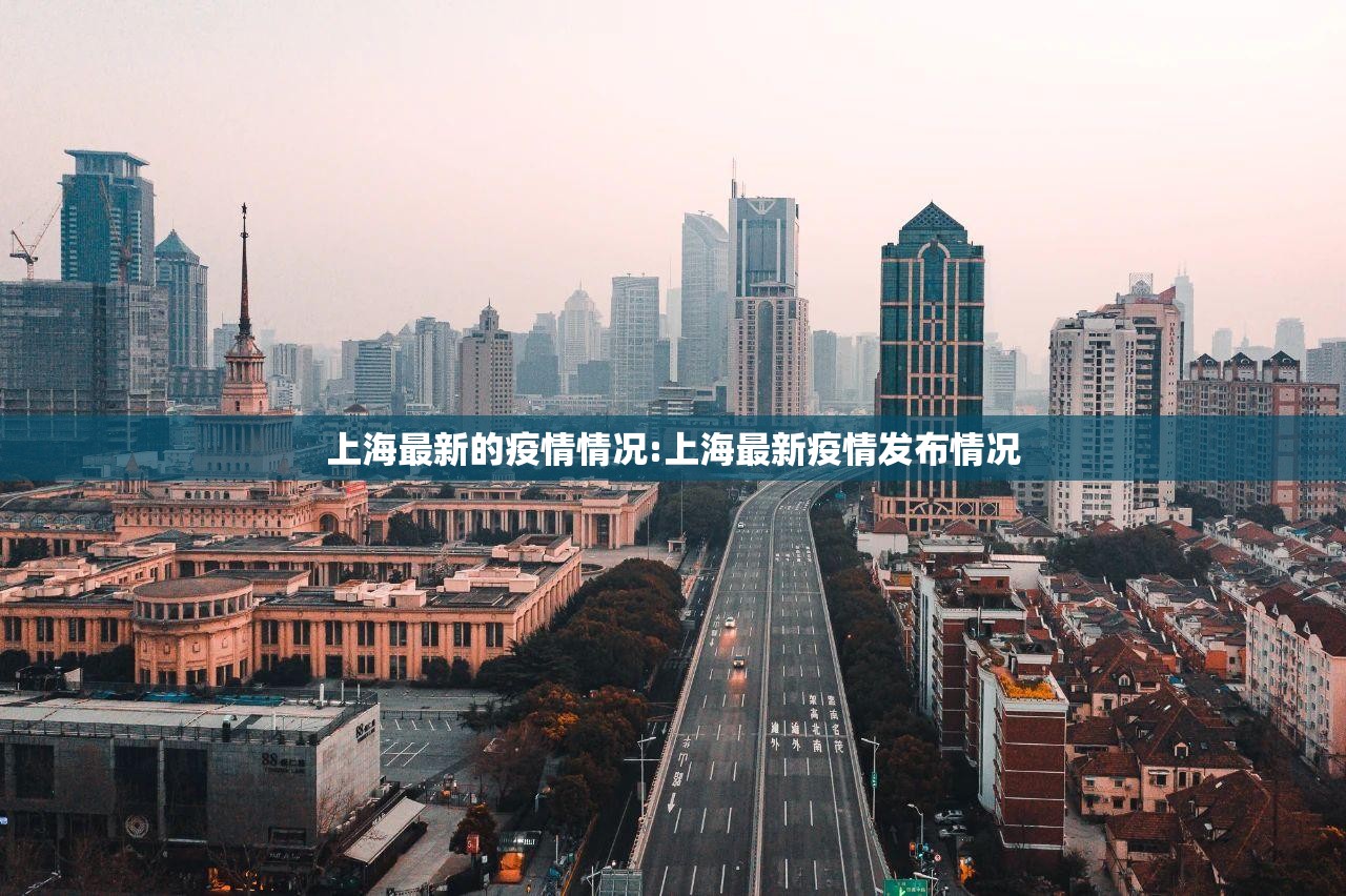 上海最新的疫情情况:上海最新疫情发布情况