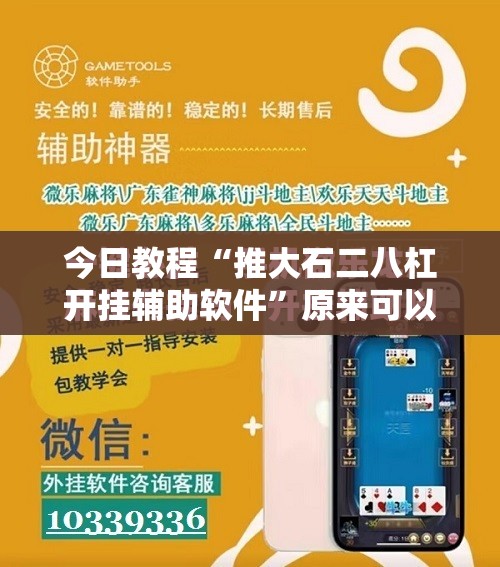今日教程“推大石二八杠开挂辅助软件”原来可以开挂