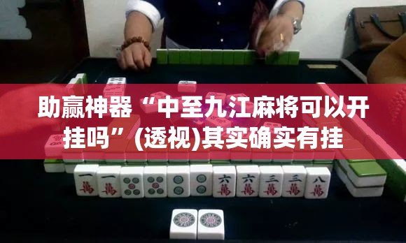 助赢神器“中至九江麻将可以开挂吗”(透视)其实确实有挂