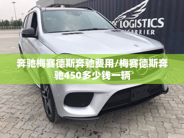 奔驰梅赛德斯奔驰费用/梅赛德斯奔驰450多少钱一辆
