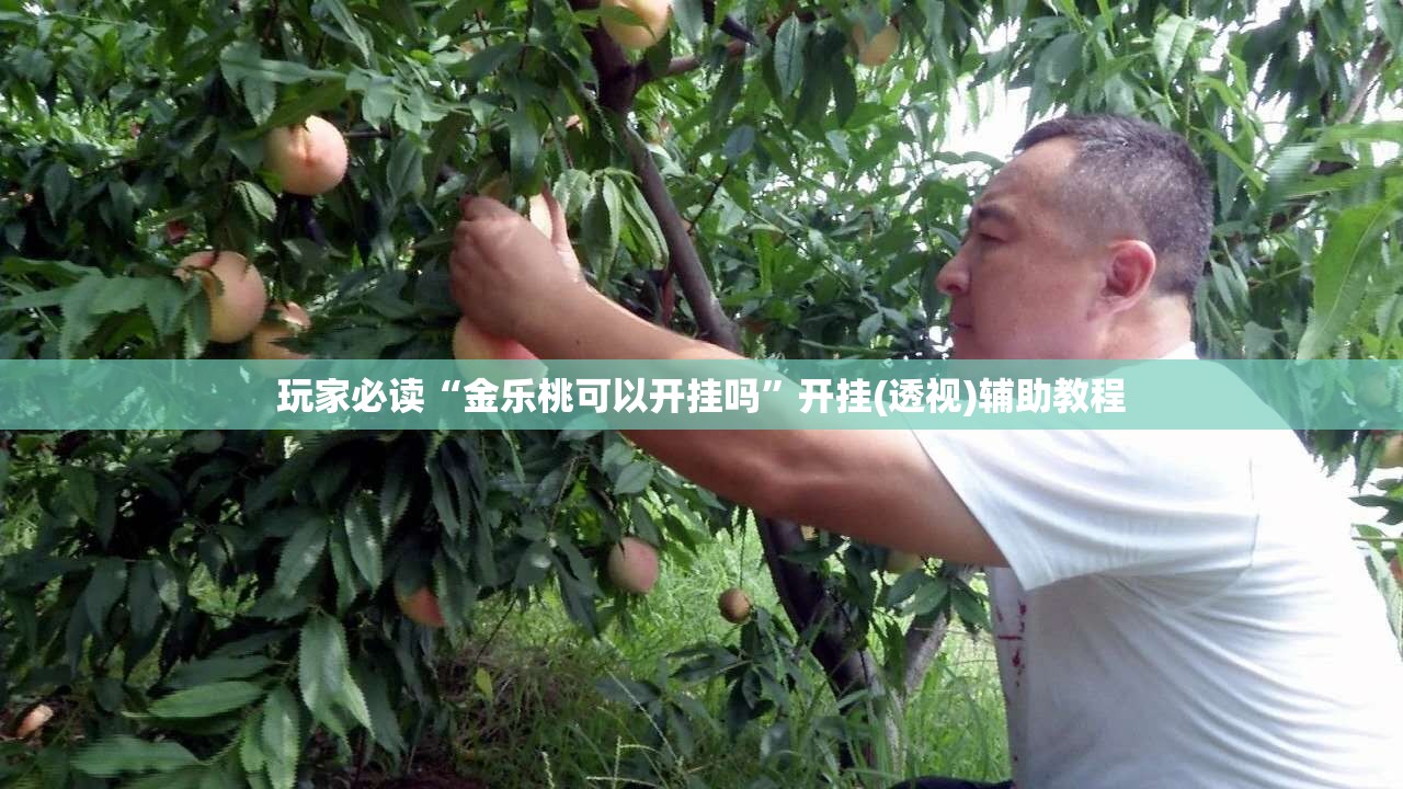 玩家必读“金乐桃可以开挂吗”开挂(透视)辅助教程
