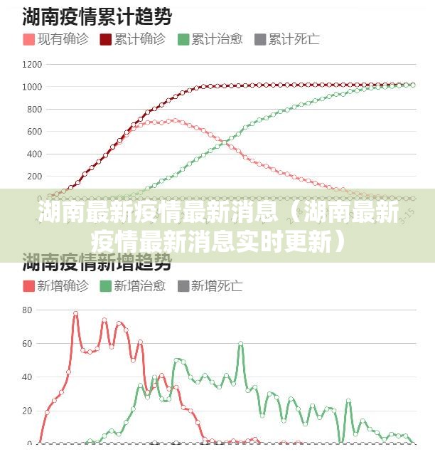 湖南最新疫情最新消息（湖南最新疫情最新消息实时更新）
