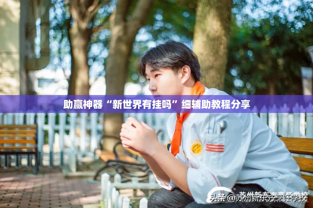 助赢神器“新世界有挂吗	”细辅助教程分享