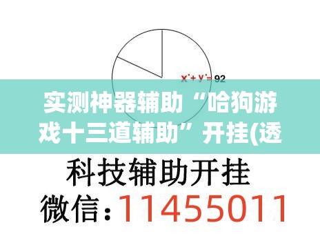 实测神器辅助“哈狗游戏十三道辅助	”开挂(透视)辅助神器