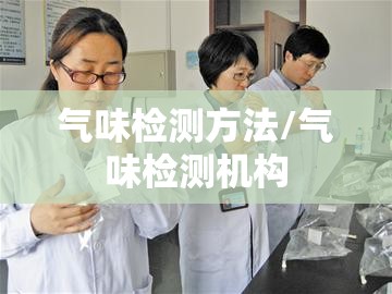 气味检测方法/气味检测机构