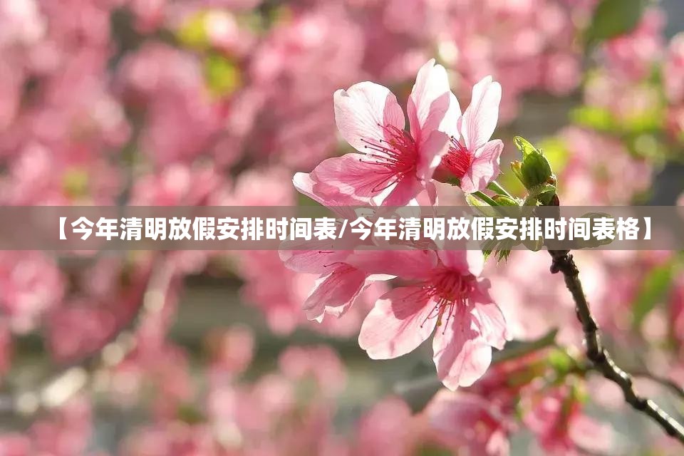 【今年清明放假安排时间表/今年清明放假安排时间表格】