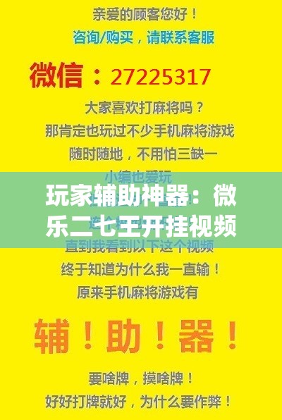 玩家辅助神器：微乐二七王开挂视频	”开挂(透视)辅助神器