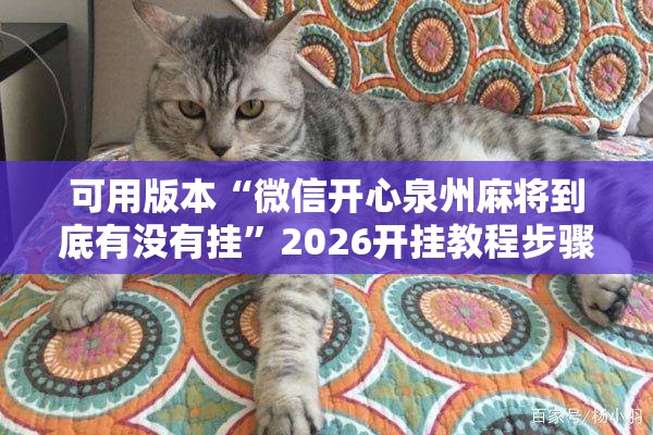 可用版本“微信开心泉州麻将到底有没有挂	”2026开挂教程步骤