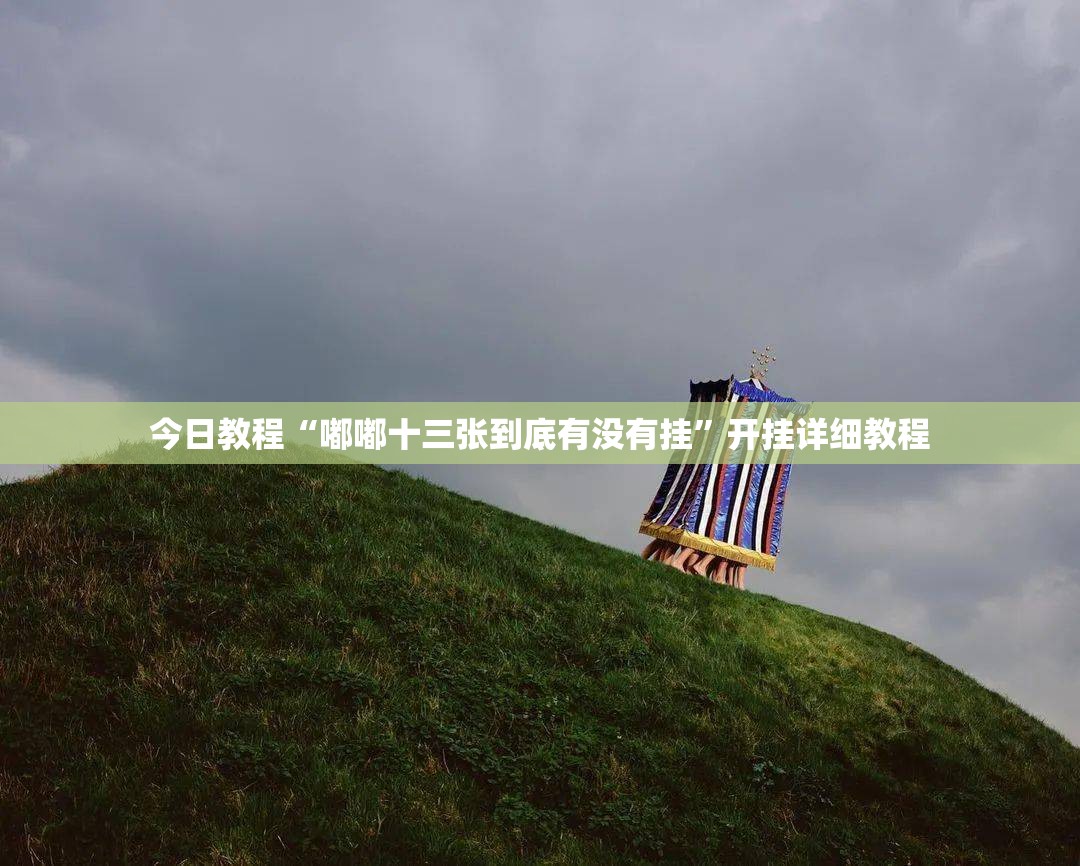 今日教程“嘟嘟十三张到底有没有挂”开挂详细教程