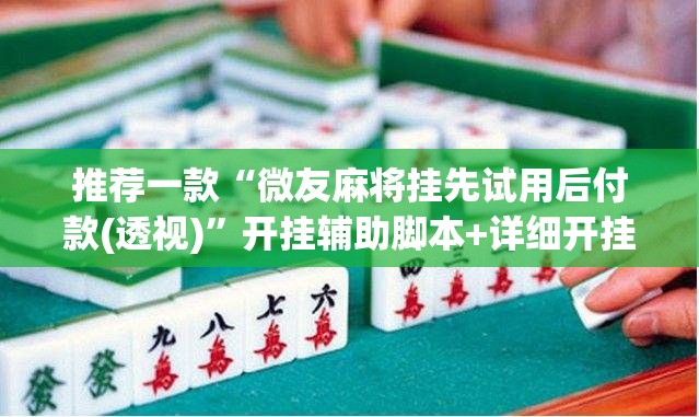 推荐一款“微友麻将挂先试用后付款(透视)”开挂辅助脚本+详细开挂安装教程