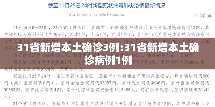 31省新增本土确诊3例:31省新增本土确诊病例1例